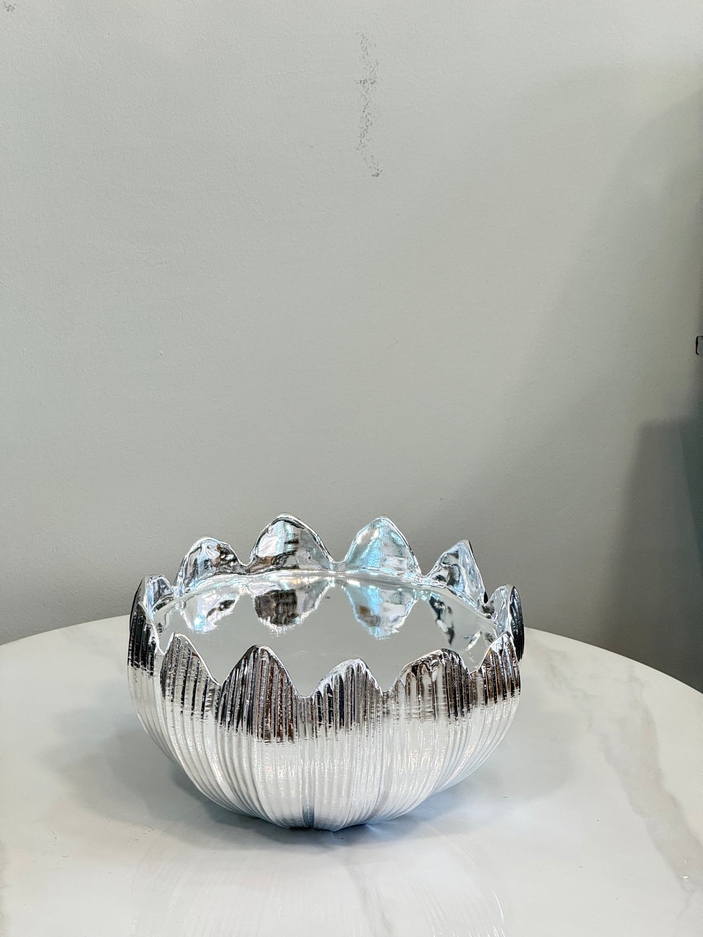 توليب فضي لامع