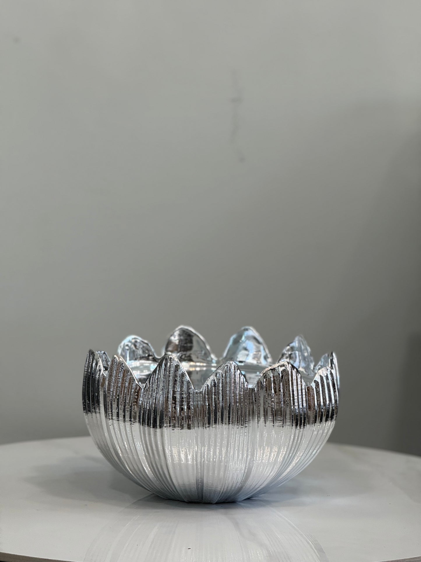 توليب فضي لامع